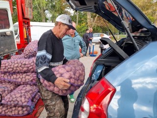 На осенних ярмарках «Дары Подмосковья» реализовано уже 24 т картофеля
