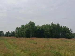 Как приобрести земельный участок под жилье и бизнес в Подмосковье