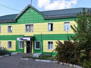 Стало известно, какие виды гриппа одолевают каширян в последнее время