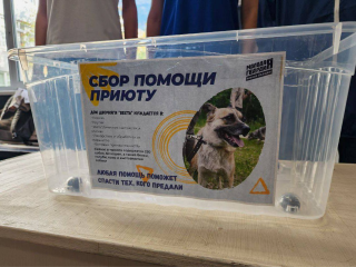 В Павловском Посаде собирают помощь для приюта «Дом дворняги Веста»