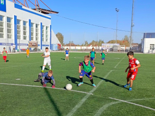 Четверть века назад погиб герой: в Серебряных Прудах почтили память Сергея Мясина