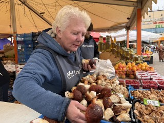 Грибной бум в Одинцове: как проверить свои «лесные трофеи» на безопасность