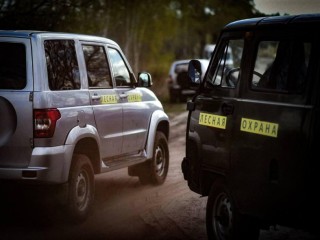 За лесной поджог в Подмосковье дадут 10 лет тюрьмы