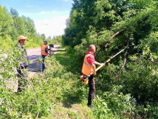 Возле подмосковных дорог опилили деревья