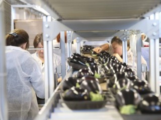 Московская область стала лидером по производству готовой еды