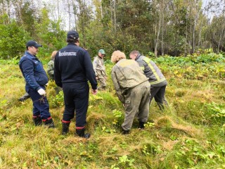 Работники «Мособлпожспаса» высадили деревья в Можайском округе