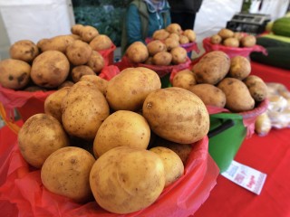Где в Зарайске купить картофель нового урожая: обзор цен и торговых точек