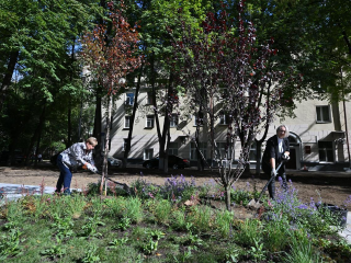 Власти инвестировали ₽7,5 млн в озеленение центра Реутова