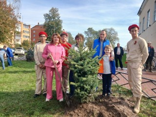 Голубые ели высадили на центральной площади города Куровское