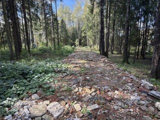 Дачному товариществу в Мытищах объявлено предостережение за незаконные отходы
