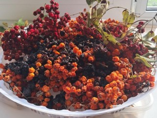 Школьники в Волоколамске готовят угощения для лосей и птиц