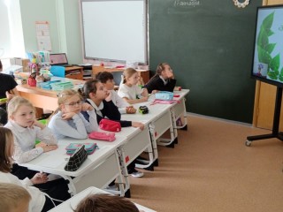 Ступинские четвероклассники взяли серебро на всероссийском биологическом турнире