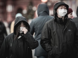Названы причины распространения лихорадки чикунгунья в России