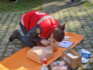 В Истре проведут бесплатный урок первой помощи