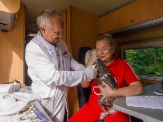Новые правила оборота ветпрепаратов вступили в силу в Подмосковье