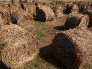 Народные приметы на 10 сентября 2025: почему в день Анны Скирдницы нельзя смотреться в зеркало и ходить в лес