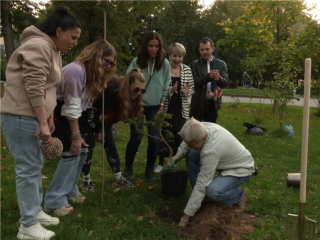 Дубненские уличные барабанщики высадили необычный каштан и назвали его Кумом
