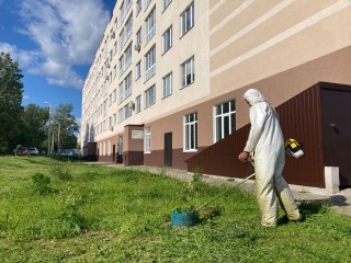 Как подмосковные коммунальщики ухаживали за газонами в течение сезона