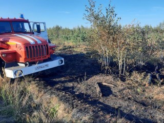 На большей части Подмосковья ожидается III класс пожарной опасности с 12 по 14 сентября