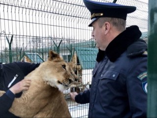 Перечень экзотических животных, запрещенных к содержанию
