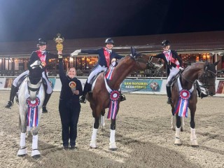 Подмосковье завоевало медали на чемпионате и первенстве России по конному спорту