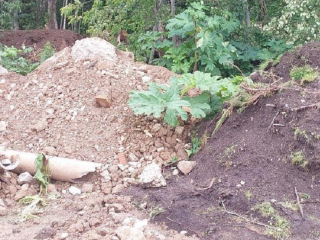 В деревне Назимиха борются со свалками на частных землях