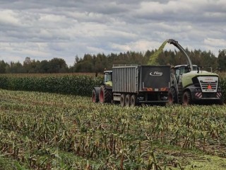 Уборочная кампания кукурузы в Волоколамске близка к завершению