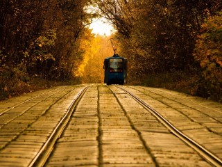 Конец бабьего лета наступит в Подмосковье на следующей неделе