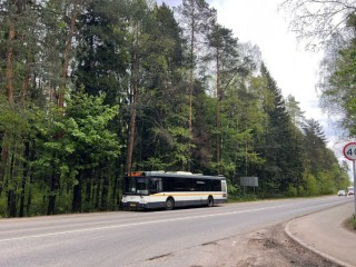 Решение о сроках работы дачных автобусных маршрутах принято в Подмосковье