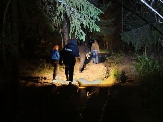 Спасатели разыскали четырех человек, заблудившихся в лесу под Сергиевым Посадом
