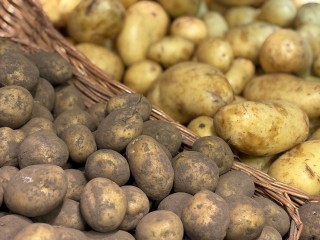 Дачникам рассказали, как правильно собирать и хранить картофель