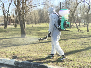 Черноголовцев попросили временно не посещать детские и спортивные площадки