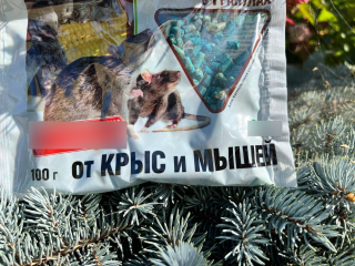 В Люберцах от отравления крысиным ядом погиб стаффордширский бультерьер