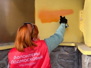 Битва за чистые улицы: ступинские активисты борются с «вирусной рекламой»