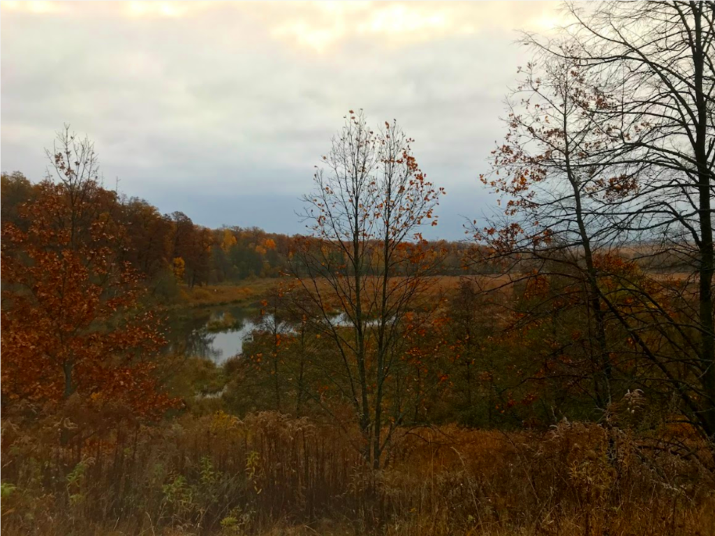 Черноголовцы могут выбрать лучшую осеннюю фотоработу