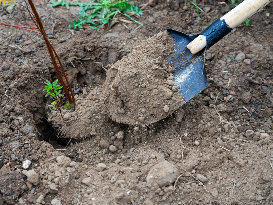 Начало экологической акции в Хлебникове перенесли на более раннее время
