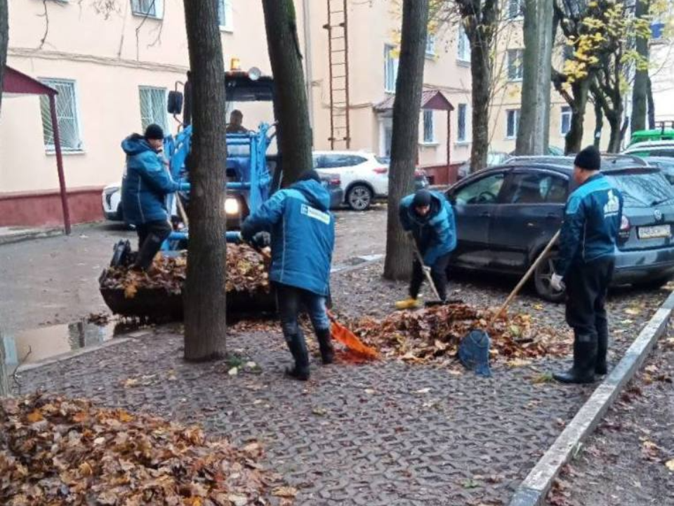 Подольск вошел в число округов-лидеров по ручной уборке дворов