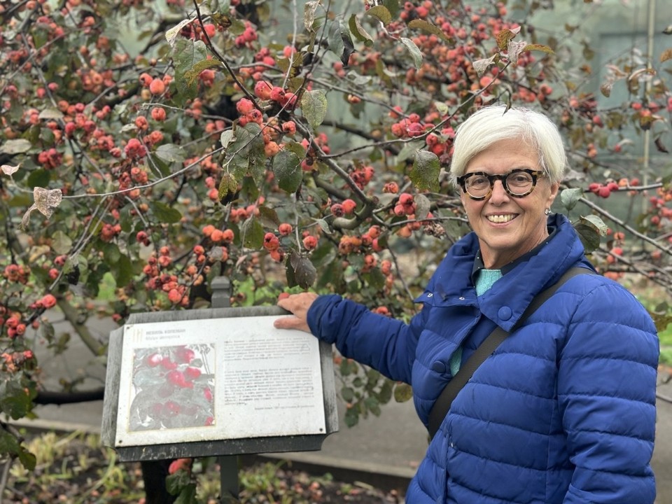 Как сады могут служить источником вдохновения, расскажут в Арткоммуналке