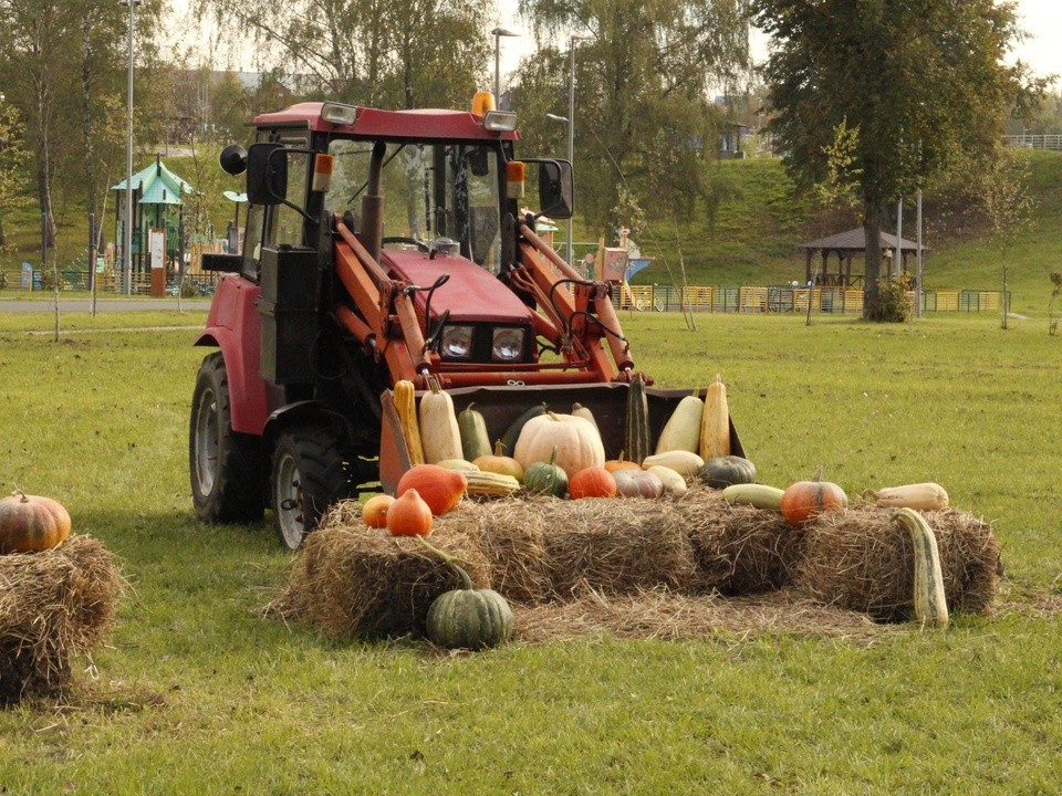 Фестиваль глинтвейна и квесты проведут в парке «Ривьера»