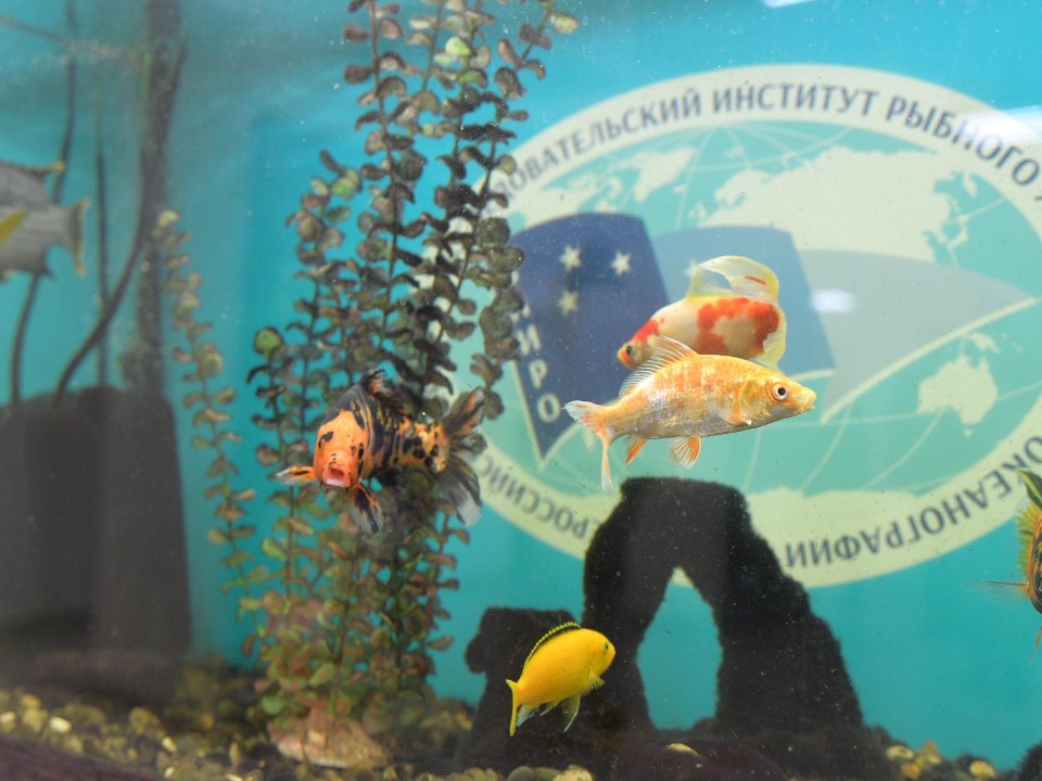 Ветераны СВО отправились в научное путешествие по рыбному институту Дмитрова