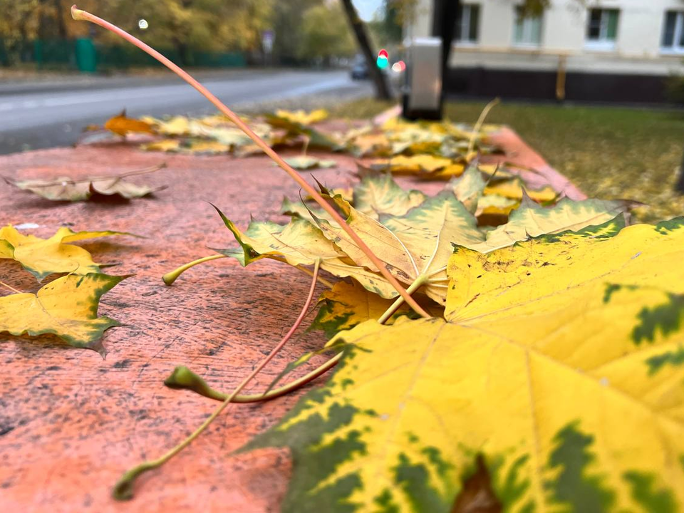 Облачно, дождливо и тепло: какой будет погода в Раменском до конца недели