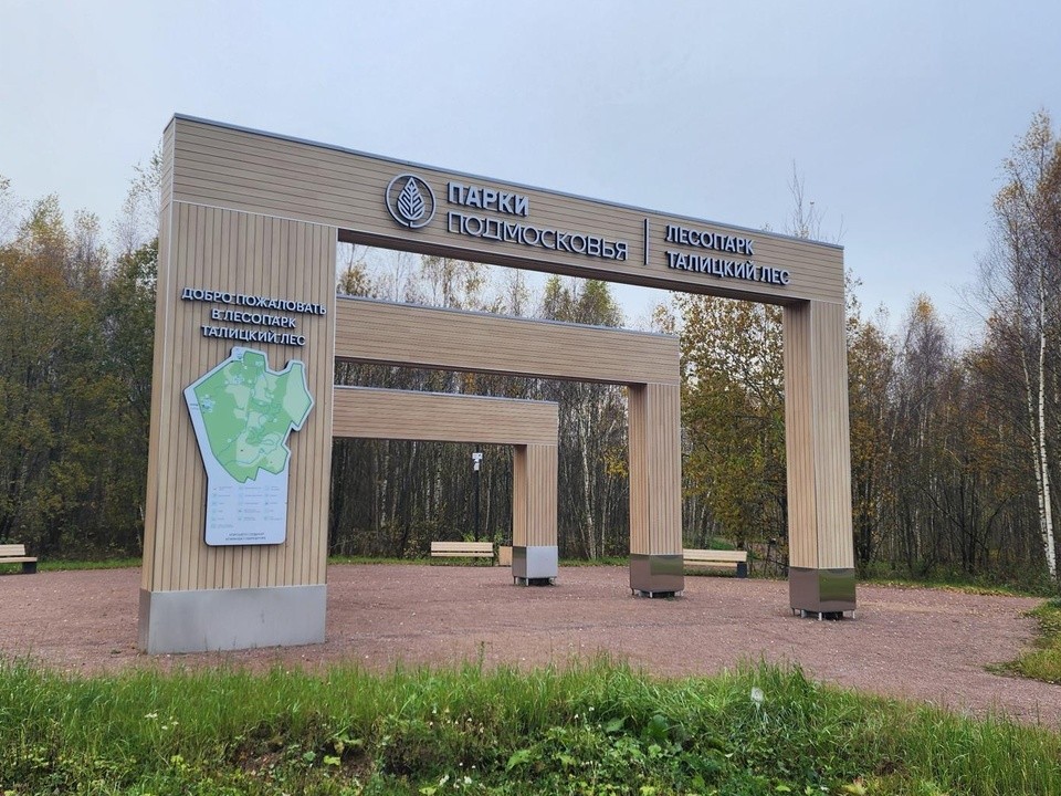 Парковку на 200 машин делают возле Талицкого леса