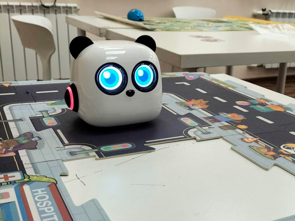 Бабушки и дедушки научились программировать роботов