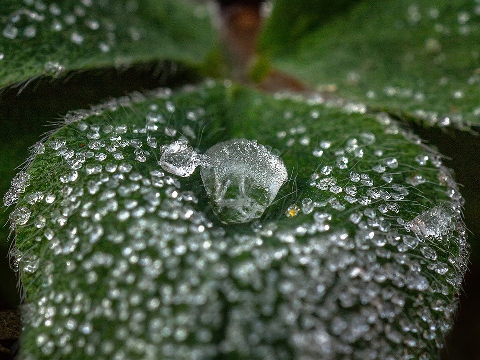 Какой народный праздник отмечают 23 октября 2025: что можно и нельзя делать в день Евлампия Зимоуказателя