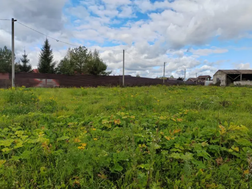 Земля в Подмосковье: новые возможности для инвесторов