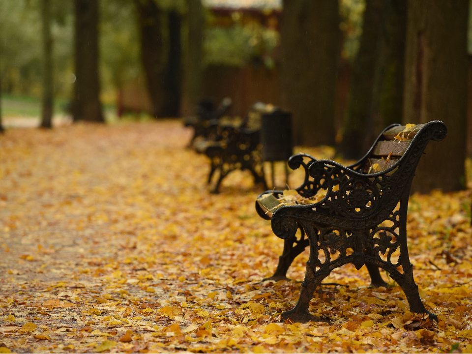 Циклон с Атлантики обрушит на Подмосковье сильные дожди около 10 мм, днем до +8°