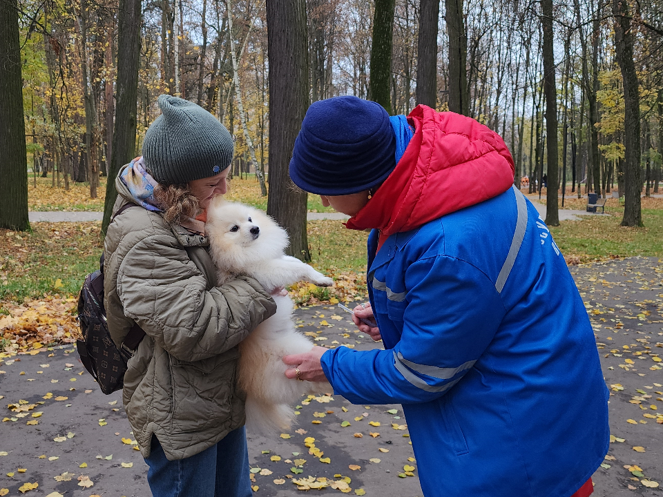 Привить и чипировать: где и когда домашних животных навестят ветврачи в ноябре