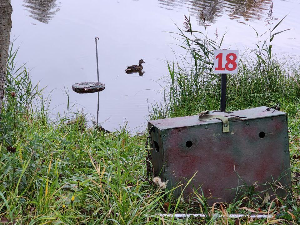 Лучшую подсадную утку выбрали на всероссийских соревнованиях под Дмитровом