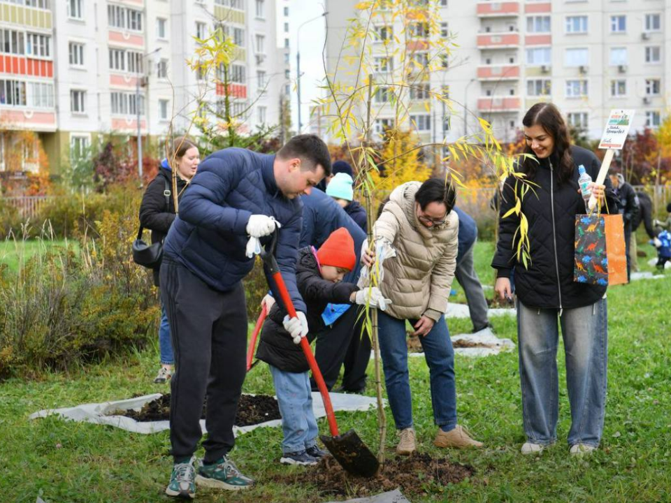 «Аллею отцов» из молодых ив высадили у школы «Флагман»