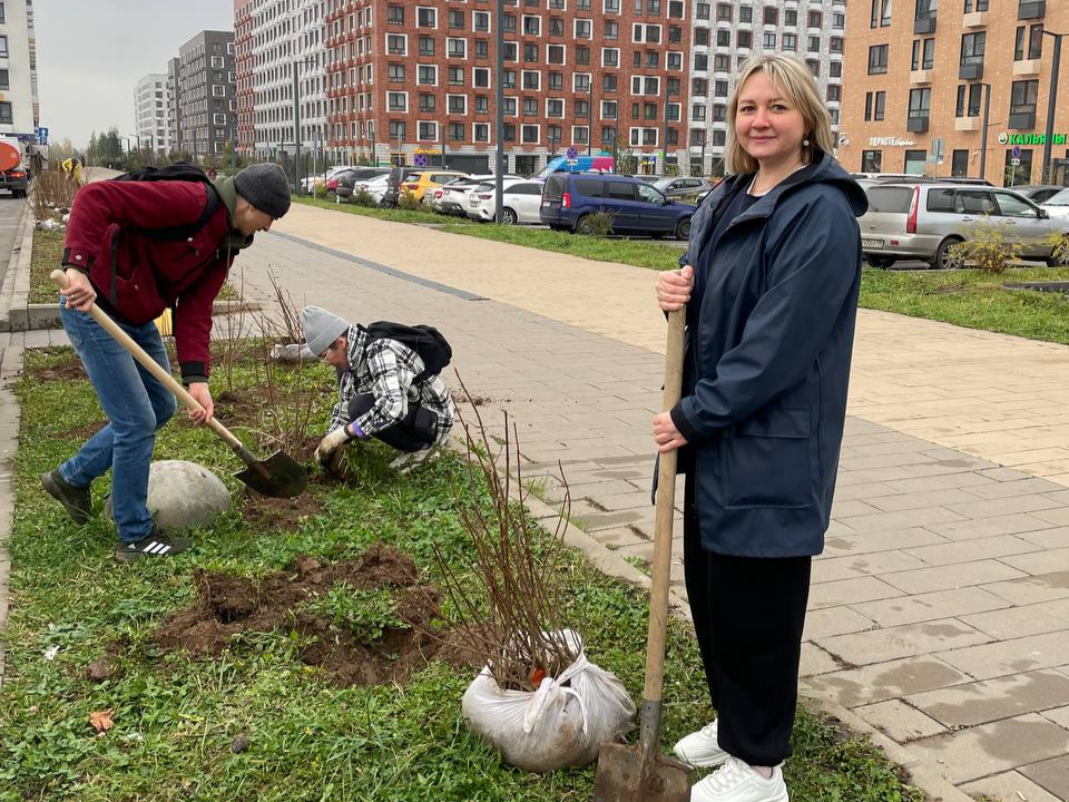 Новые кустарники и деревья высадили жители Ильинских лугов у себя во дворе
